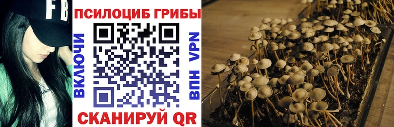 Галлюциногенные грибы Magic Shrooms сколько стоит Урень